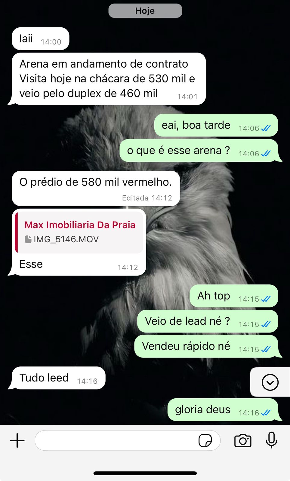 WhatsApp Image 2025-08-29 at 11.50.16